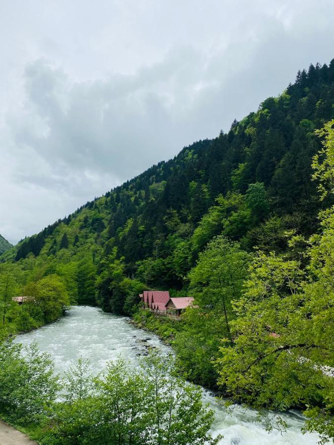 Kiyi Bungalov Çamlıhemşin Eksteriør bilde